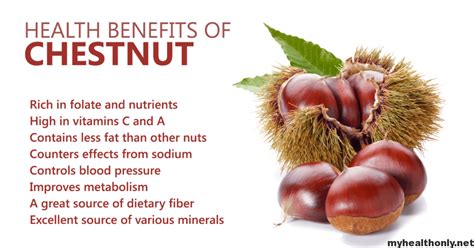 Benefit chestnut - Chestnuts have a generous blend of B vitamins in moderately high amounts. A 3-ounce serving contains 21 percent of the recommended daily value of B-6, 15 percent of folate, 14 percent of thiamine and 9 percent of riboflavin. Eat roasted chestnuts as appetizers with a leafy green salad and lean meat for a vitamin B-packed meal.